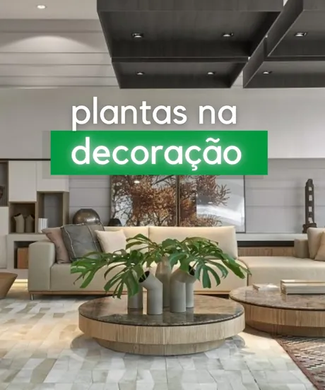 Plantas na Decoração